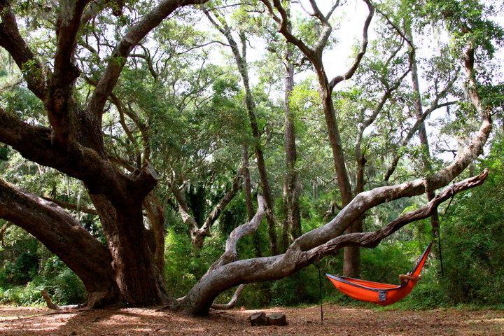 Ocean Walk Resort 1Br Mgr American Dream St. Simons Island 외부 사진